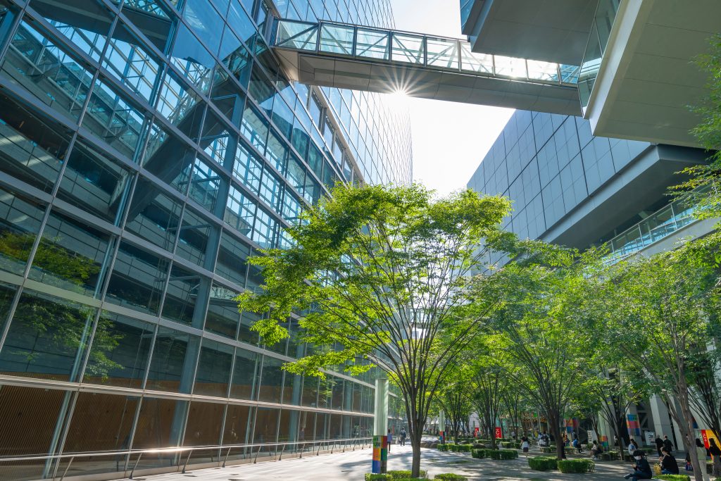 緑豊かな並木道の奥に立つ、東京国際フォーラムの現代的なガラス建築